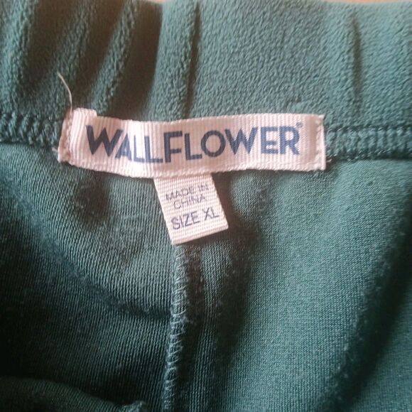 Wallflower Fleece Shorts Size XL Green Pull On Elastic Waist Athleisure Comfy - Picture 3 of 5